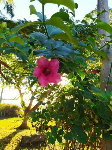 Posada Pousada Campos De B�zios