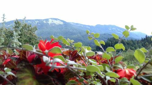 Agroturismo Apartmaji Mojca