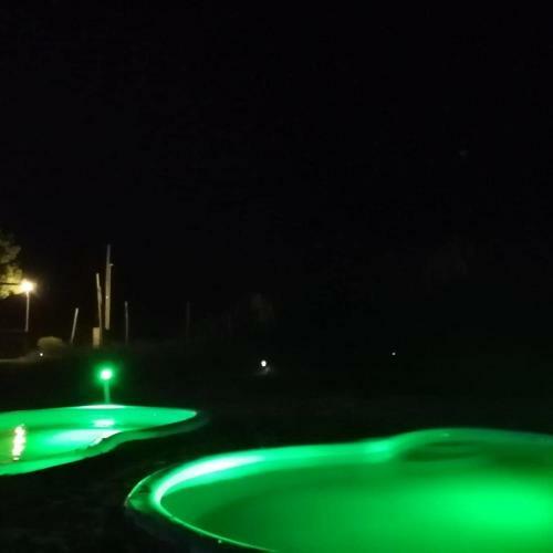 Pura Vida 6