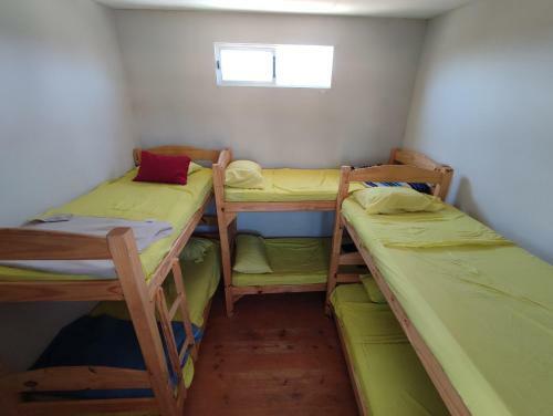 Albergue Green Door Pdd