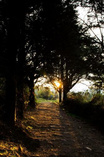 Hacienda El Cerotal By Tierra Del Volcan