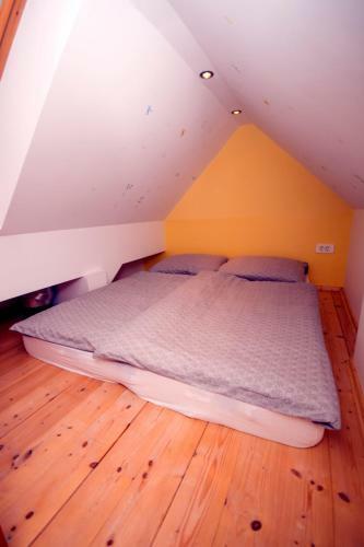 Apartmaji Lajf