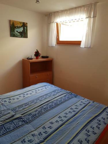 Apartment Brina