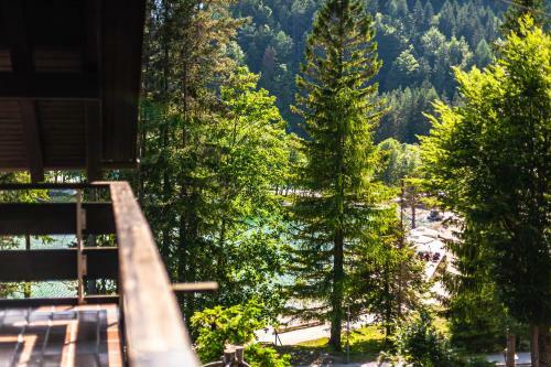 House Moose't Getaway, Kranjska Gora