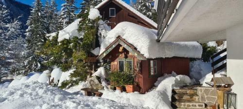 House Moose't Getaway, Kranjska Gora