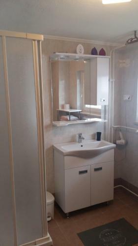 Apartma Albina