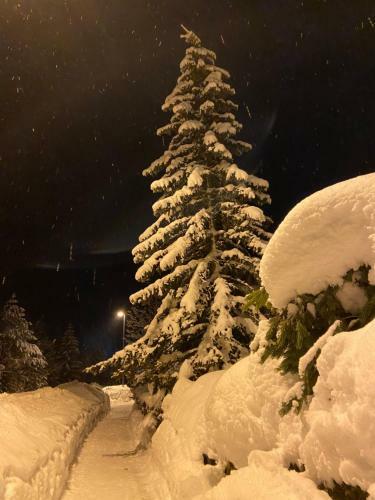 Apartma Gams Kranjska Gora