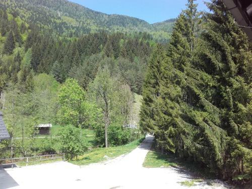 Apartamentos Klass 203