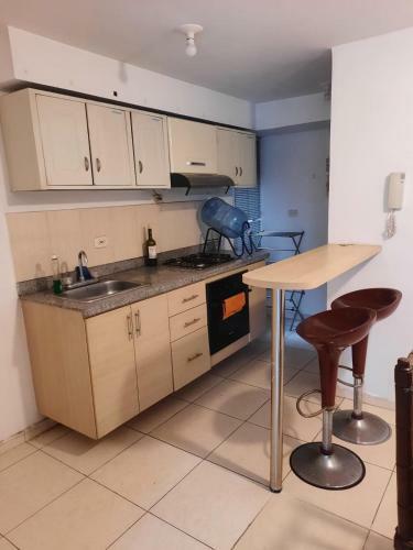 Apartamento Alojamiento Espacioso Y Comodo. Av Libertadores