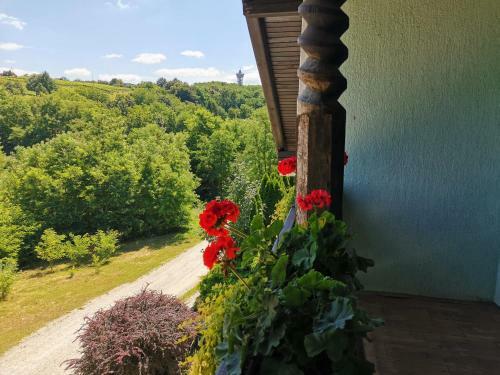 Hostal Apartma Med Vinogradi