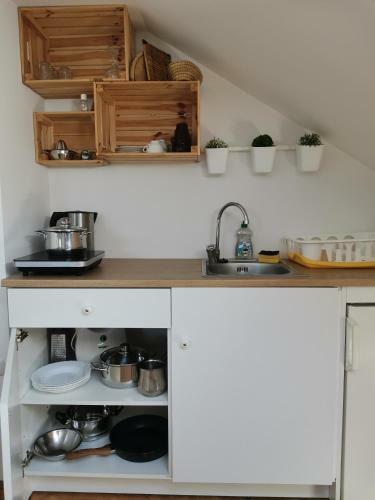 Hostal Apartma Med Vinogradi
