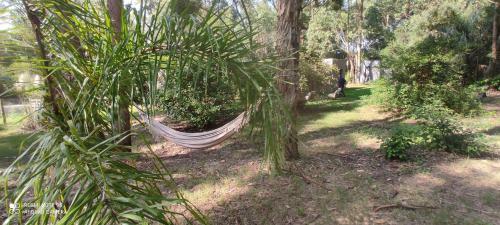 Casa Piglia Lodge