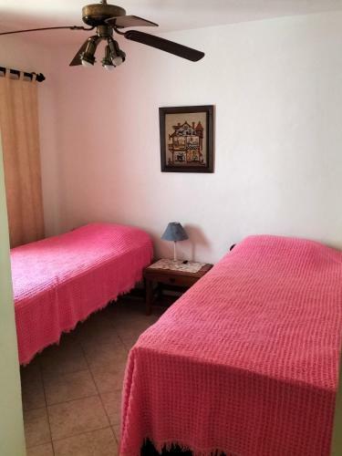 Apartamento Terra 3