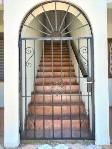Apartamento Terra 3