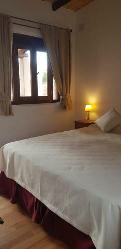 Bed & Breakfast Terraza Del Molle