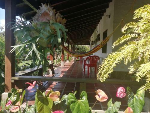 Calima Guests House