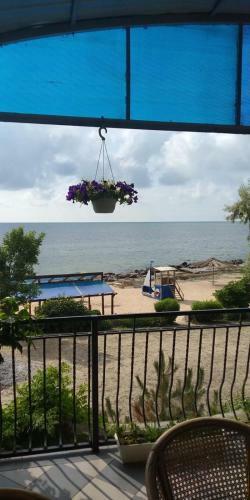 Hostal Zamok