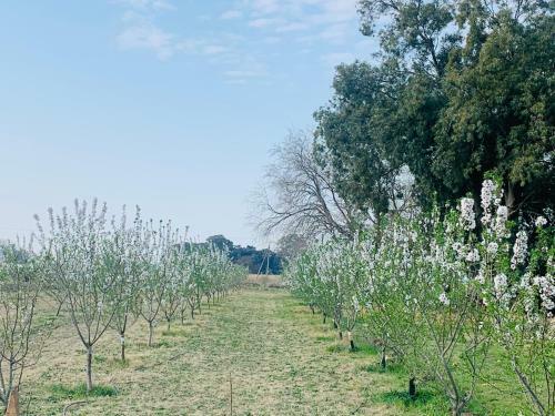 Las Moras Caba�as De Campo