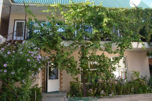 Hotel Oazis