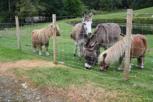 Agroturismo Highgarry Cottage