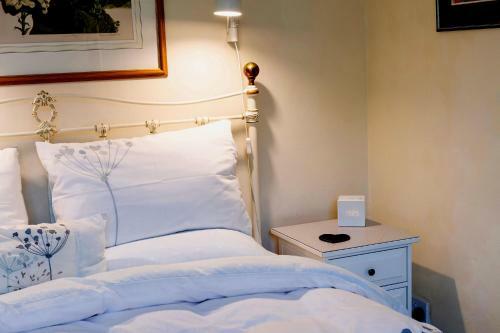 Bed & Breakfast Maelgwyn House