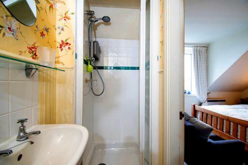 Bed & Breakfast Maelgwyn House