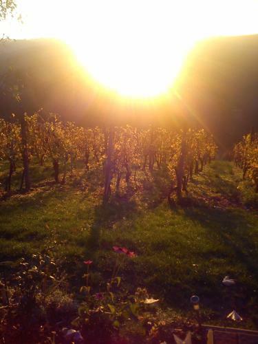 Agroturism Jures