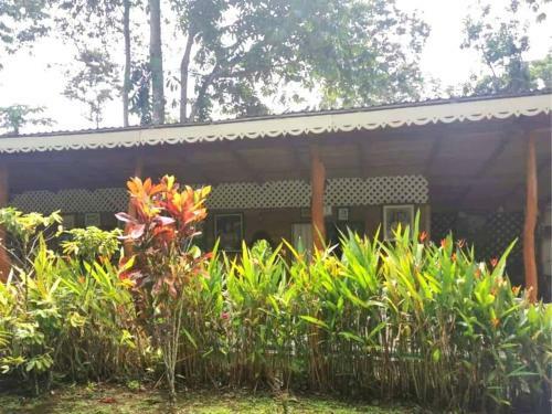 Casa Caribe�a
