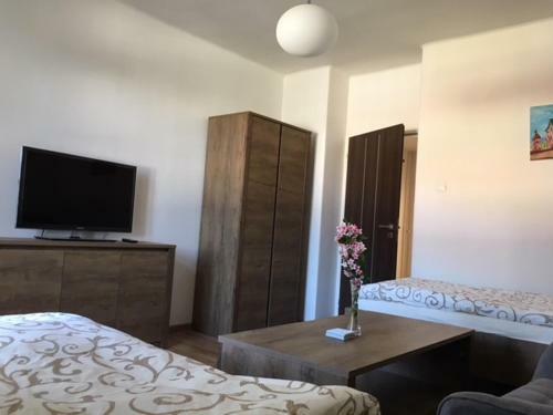 Apartm�n S V�h?adom