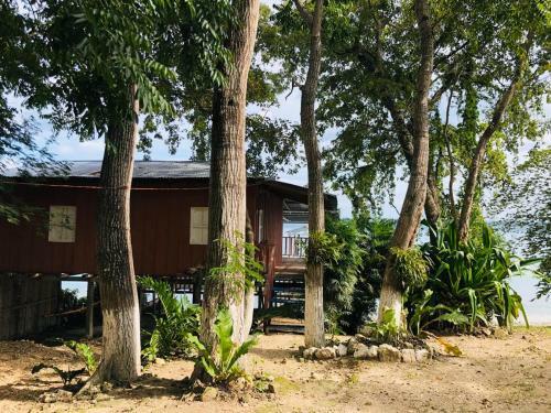 Caba�a En Playa, Lago Peten Itza