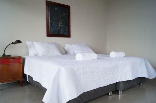 Hotel Indano Art Lodge
