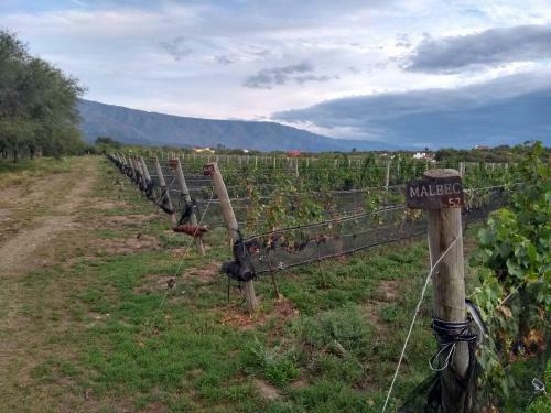 La Morada, Imperdible Casa de Campo En La Matilde