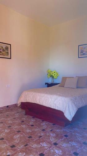 Bluerock Hotel Boquete