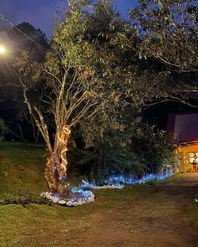 Bluerock Hotel Boquete
