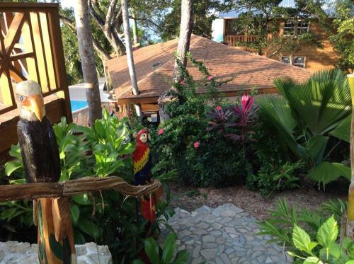 Hostal Turtle Cabin @ Turtle Beach Dive Resort