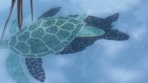 Hostal Turtle Cabin @ Turtle Beach Dive Resort