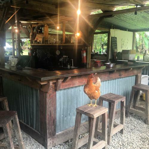 The Camp At Kalu Yala