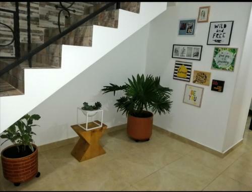 Acuarela Campestre