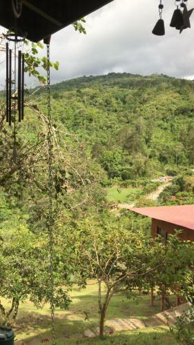 Navarro Mountain