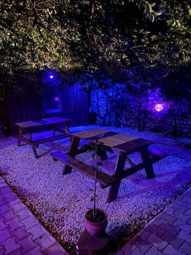 Hostal The Dacha Chiraly