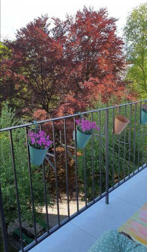 Dreamy & Cosy Place, Riverside Apartment