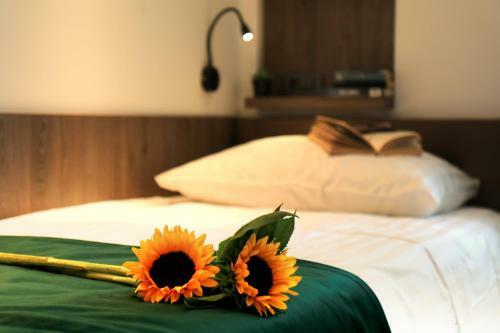 Hostal Petkov?ek - River Side