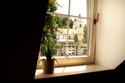 Hostal Petkov?ek - River Side