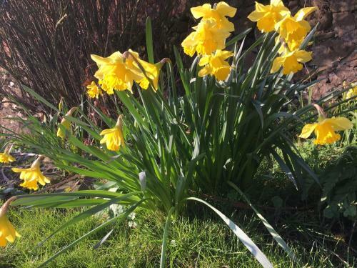 Bed & Breakfast Belstane House
