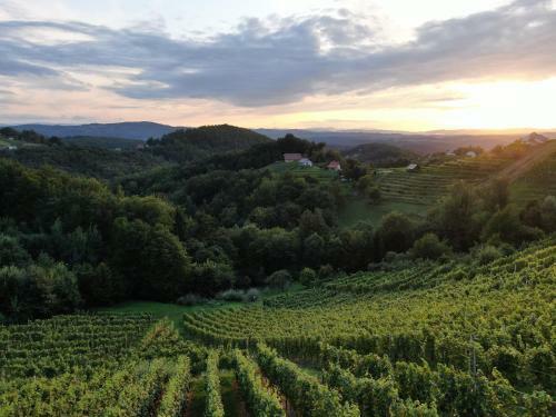 Apartamento Vineyard Cottage Urban