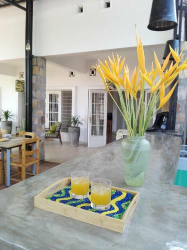 Hotel Urban Lodge