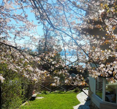 Bariloche, Tu Casa En El Para�so