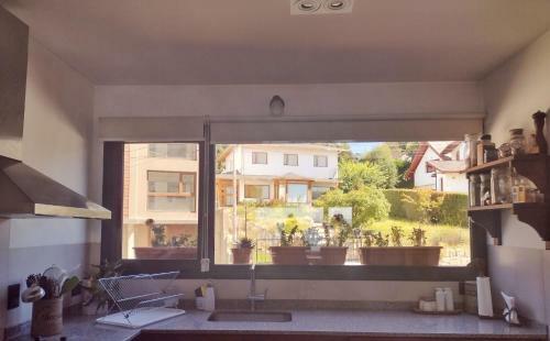 Apartamento Departamento C�ntrico