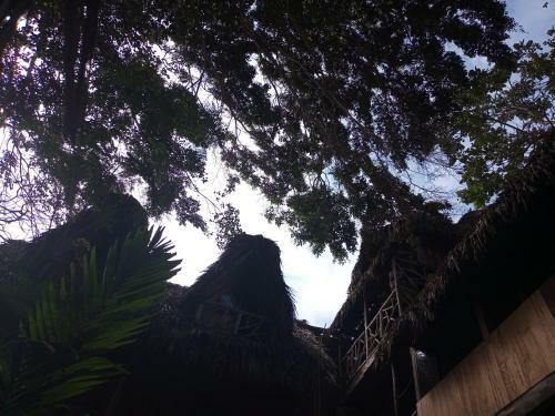 Hotel Nunkai Eco-hostal & Caf� Bosque