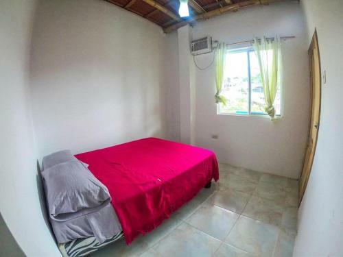 Albergue Iguana Beach House